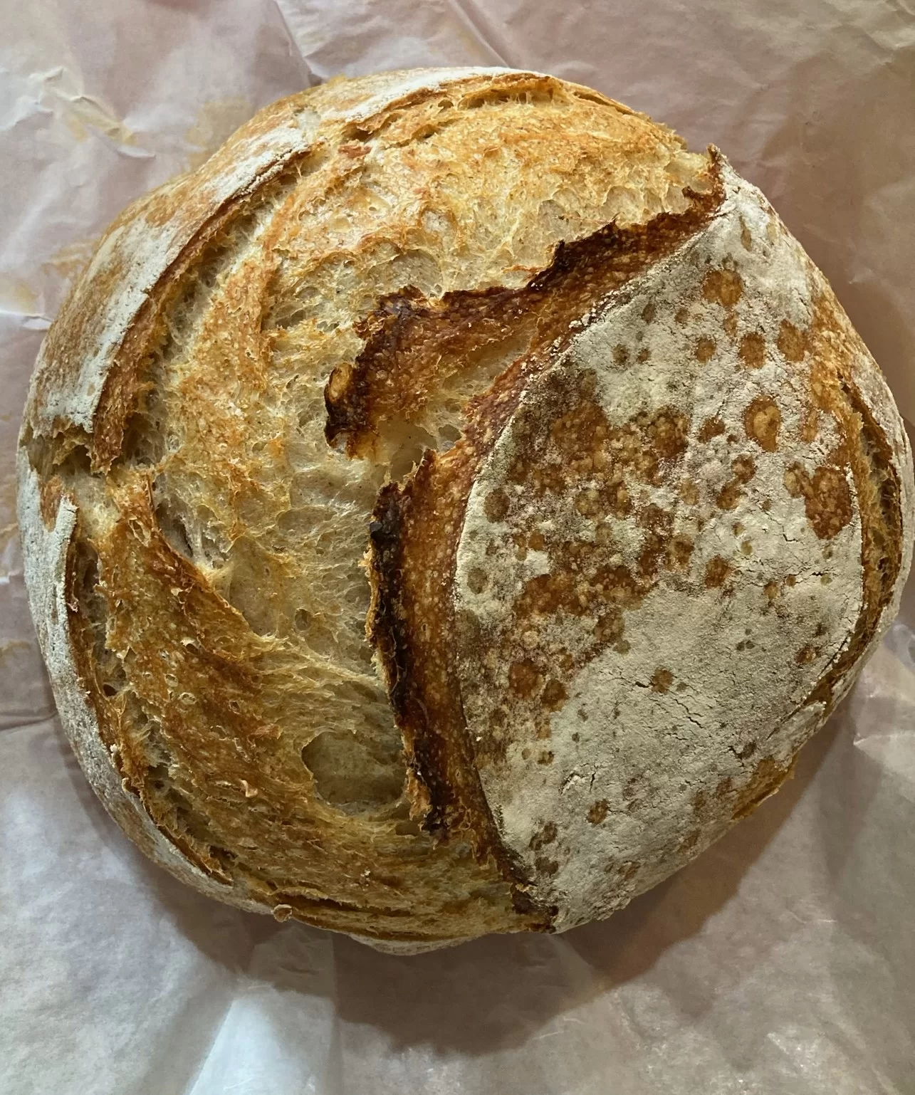 Rustic Sourdough Bread – The Ultimate Artisinal Overnight Recipe