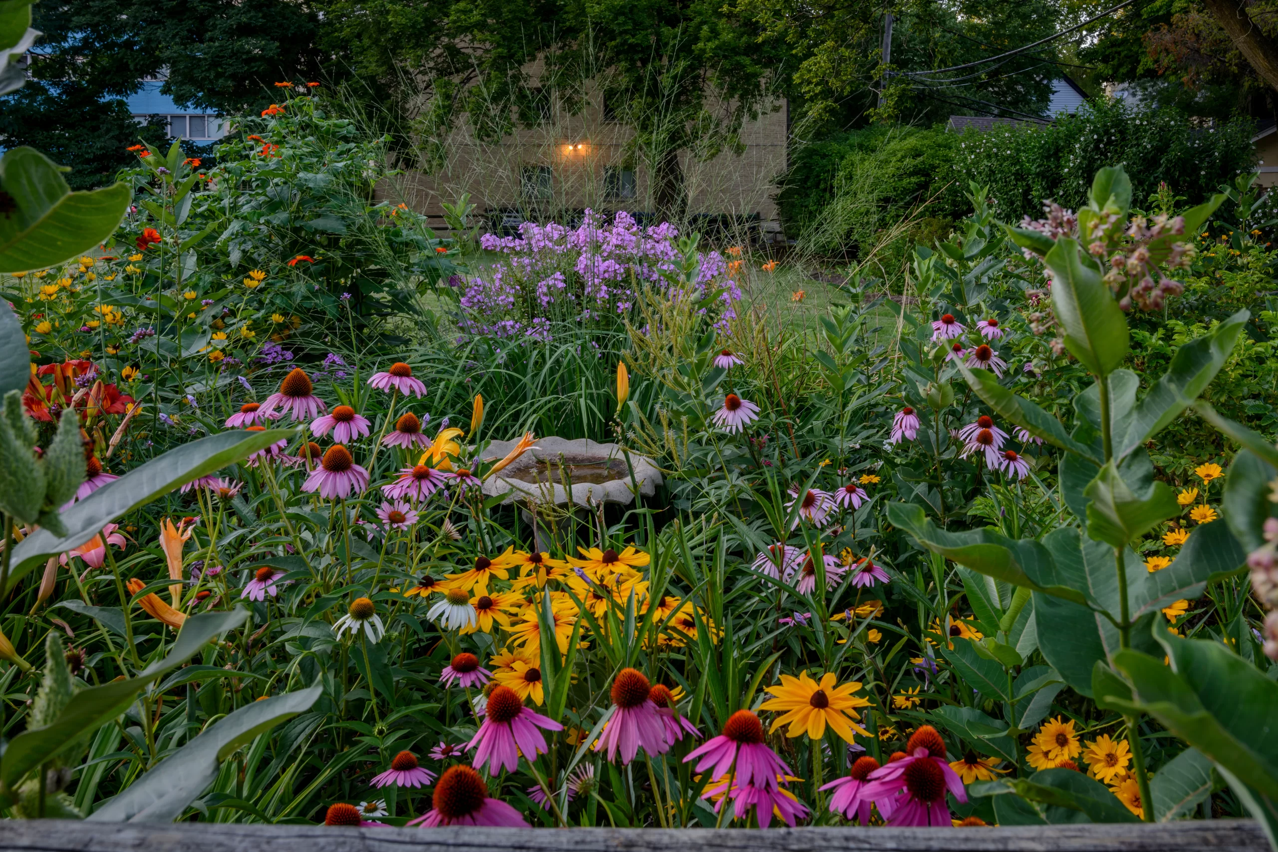 A Guide to the Best Perennials for Your Pennsylvania Garden